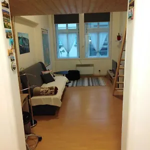 Apartament Husitska 114/74, Praga
